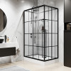 Niagara Душевая кабина Standart 100x80 L черная