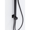 Душевая стойка Allen Brau Infinity 5.21031-31 черный матовый