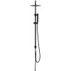 Душевая стойка Allen Brau Priority 5.31031-31 черный матовый