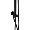 Душевая стойка Allen Brau Priority 5.31031-31 черный матовый