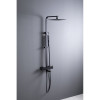 Душевая система Allen Brau Infinity 5.21029-31 черный матовый