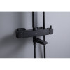 Душевая система Allen Brau Infinity 5.21029-31 черный матовый
