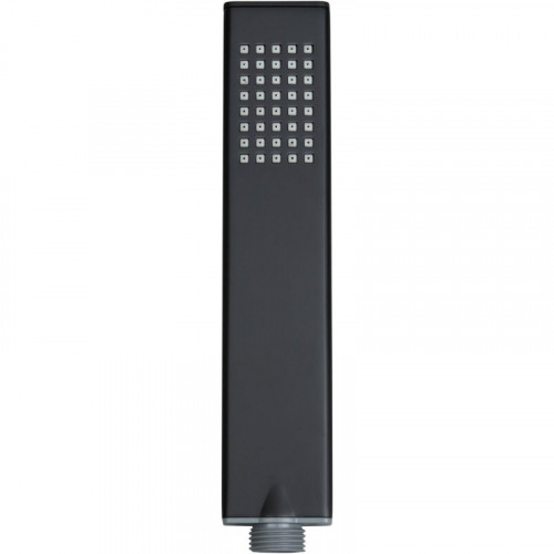 Ручной душ Allen Brau Infinity 5.21022-31 черный матовый