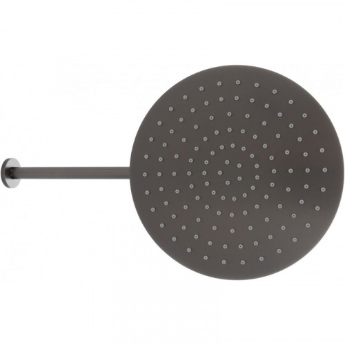 Верхний душ Allen Brau Priority 5.31A17-MG графит браш