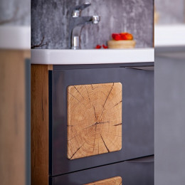 Бриклаер Мебель для ванной Форест 100 дуб золотой/антрацит
