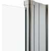 Triton Душевая дверь в нишу Уно 70x185