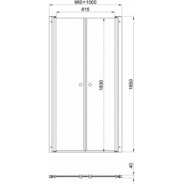 Triton Душевая дверь в нишу Дабл 100x185