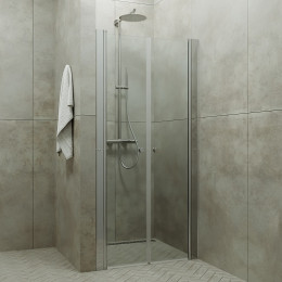Triton Душевая дверь в нишу Дабл 100x185
