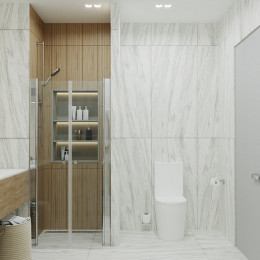 Triton Душевая дверь в нишу Дабл 100x185