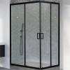Royal Bath Душевой уголок RB 8120HPD-C-BL 120х80х185