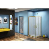 Good Door Душевой уголок JAZZE CR-100-G-BR