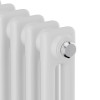 Трубчатый дизайн-радиатор Royal Thermo Insignia C2180 8 секций, белый, боковое подключение