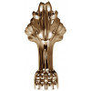 BelBagno Ножки для ванны BB-LEG-LION-BRN