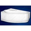 Vagnerplast Экран для ванны Selena 160 L (VPPP16005FL3-04)