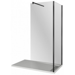 Good Door Душевое ограждение WALK IN SP+P-100-C-В