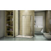 Good Door Душевое ограждение WALK IN SP+P-80-C-CH