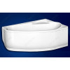 Vagnerplast Экран для ванны Selena 160 R (VPPP16005FR3-04)