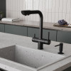 Смеситель для кухни WasserKRAFT A8367 с подключением к фильтру черный