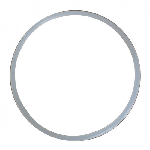 Уплотнительное кольцо 100 мм для ИТА-01/03/05/21/25/29, F9029