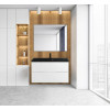 BelBagno Тумба с раковиной Vittoria 100 подвесная Bianco Lucido с раковиной BB1000/450-LV-ART-AST-NERO