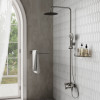 Душевая система WasserKRAFT A14201 никель