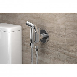 Смеситель с гигиеническим душем Bravat Eler D9137CP-RUS