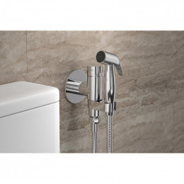 Смеситель с гигиеническим душем Bravat Eler D9137CP-RUS