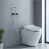 Гигиенический душ со смесителем Aquatek Европа AQ1319CR хром