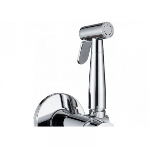 Душ гигиенический Aquanet Passion AF300-52С