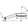 Душевая лейка Hansgrohe Pulsify Select 24120670 черный матовый