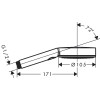 Душевая лейка Hansgrohe Pulsify Select 24120000 хром