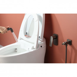 Гигиенический душ со смесителем Lemark Bronx LM3719GM графит