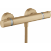 Термостат для душа Hansgrohe Ecostat 13116140