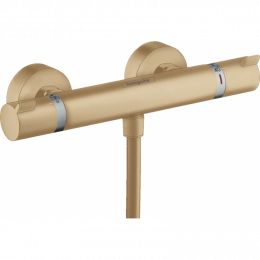 Термостат для душа Hansgrohe Ecostat 13116140