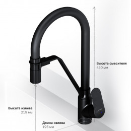Смеситель для кухни Am.Pm Like F8007822 с подключением к фильтру черный