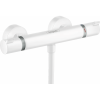 Термостат для душа Hansgrohe Ecostat 13116700
