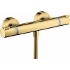 Термостат для душа Hansgrohe Ecostat 13116990