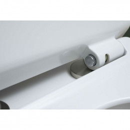 Чаша унитаза Aquanet Roll-C Rimless 210764 с сиденьем Soft Close Slimseat