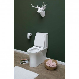 Чаша унитаза Aquanet Roll-C Rimless 210764 с сиденьем Soft Close Slimseat