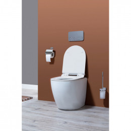 Унитаз приставной Aquanet Cetus 203344 BL-102N-FST белый