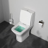 Унитаз-компакт AM.PM Gem C908601SC белый