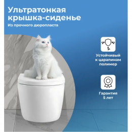 Унитаз подвесной Aquanet Z-02 346760 с сиденьем белый