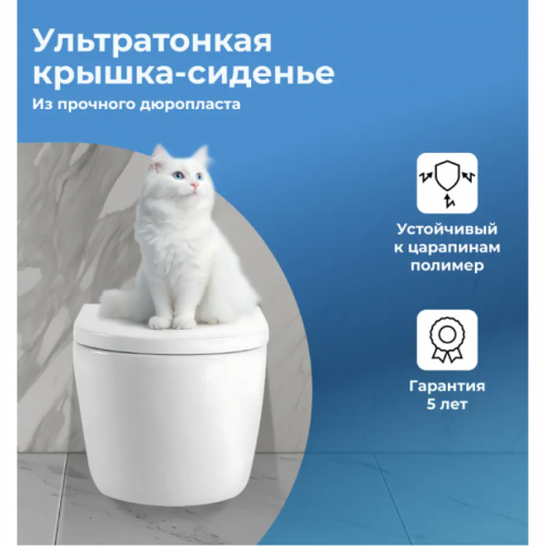 Унитаз подвесной Aquanet Z-02 346760 с сиденьем белый
