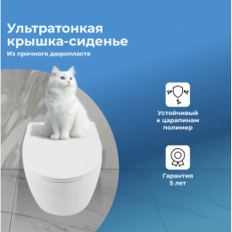 Унитаз подвесной Aquanet Z-01 346759 с сиденьем белый
