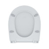 Сиденье для унитаза Iddis 005 005PPS3i31 Soft Close, белый
