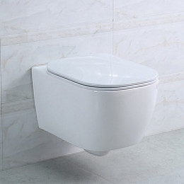 Крышка-сиденье для унитаза BelBagno Genova BB1102SC с микролифтом