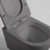 Унитаз подвесной Vincea Globo VT1-14SMA с сиденьем soft-close антрацит матовый
