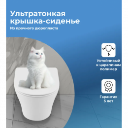 Унитаз подвесной Aquanet Z-03 346761 с сиденьем белый