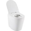 Унитаз приставной Aquanet Atago 203352 BL-104N-FST белый