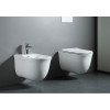 Сиденье для унитаза Aquatek AQ0102-00 белое с микролифтом